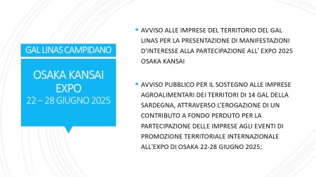 AVVISO ALLE IMPRESE DEL TERRITORIO DEL GAL LINAS PER LA PRESENTAZIONE DI MANIFESTAZIONI D'INTERESSE ALLA PARTECIPAZIONE ALL' EXPO 2025 OSAKA KANSAI