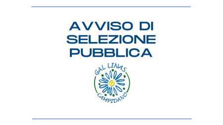 AVVISO DI SELEZIONE PER IL CONFERIMENTO DI INCARICHI DI COLLABORAZIONE, ART. 7, C. 6, DEL D.LGS. 30/03/2001, N. 165, E SS.MM.II. SELEZIONE ESPERTI PER L’ATTUAZIONE DELLA STRATEGIA DI SVILUPPO LOCALE DI TIPO PARTECIPATIVO. PR SARDEGNA FSE+ 2021-2027